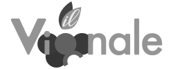 Client 9